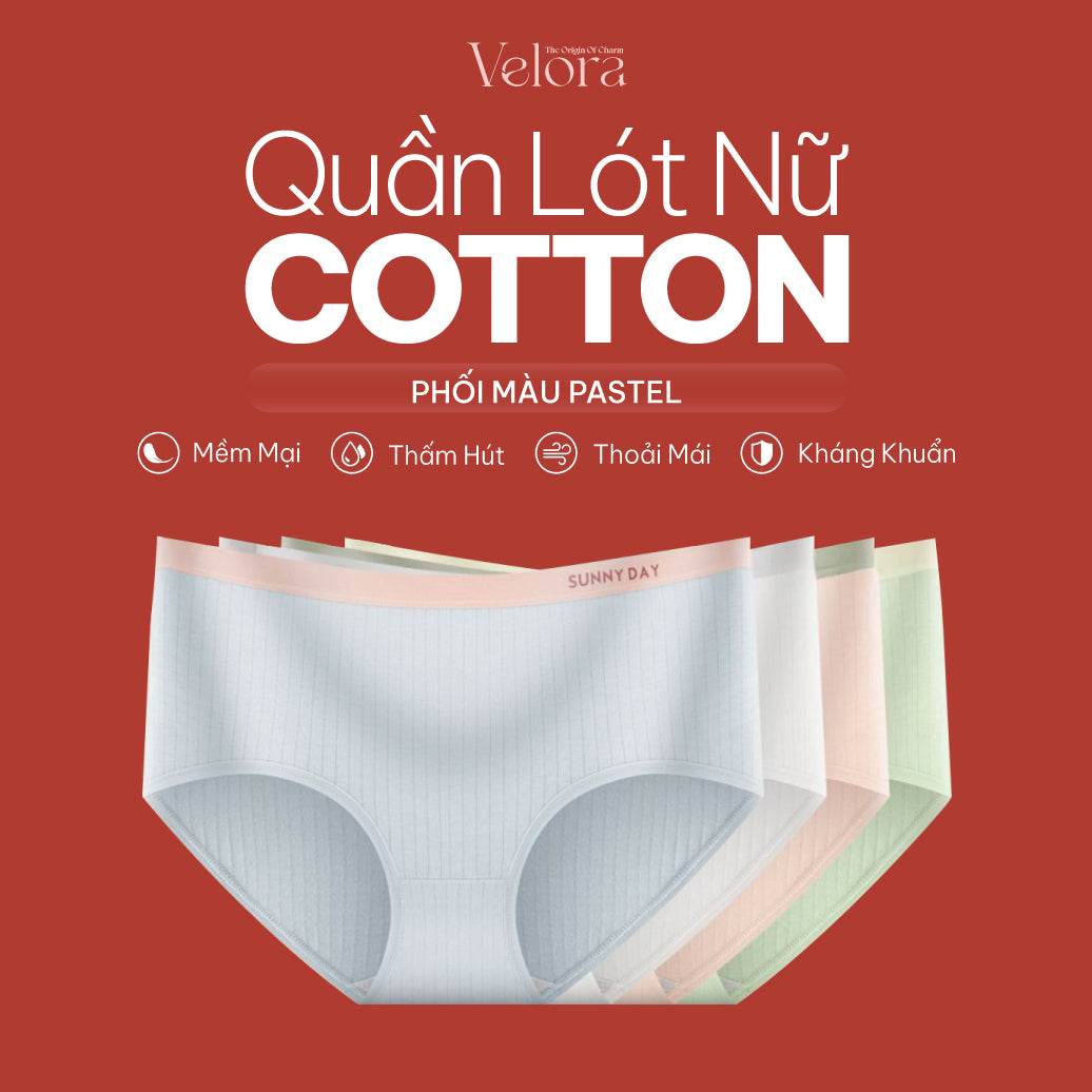 Quần Lót Cotton Nữ Phối Màu Pastel Mềm Mại, Thấm Hút, Thoải Mái, Kháng Khuẩn