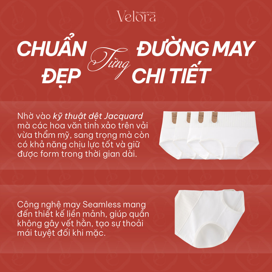 Quần Lót Cotton Trắng Nữ Cạp Cao, Kháng Khuẩn, Thấm Hút - VELORA